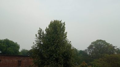 Photo of प्रतापगढ़ में मौसम ने बदला मिजाज, हुई हल्की बारिश
