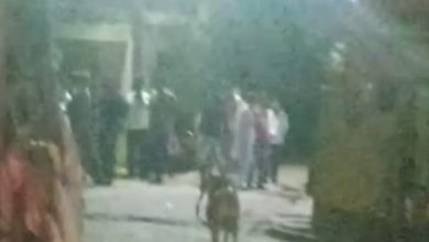 Photo of रात के अँधेरे में नगर पंचायत पट्टी के वार्ड न. 1 कुम्हिया में आखिर क्यूँ टहल रही भीड़?