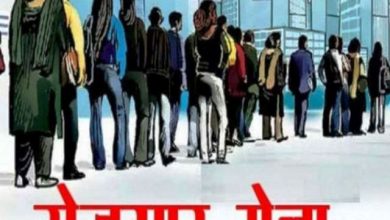 Photo of प्रतापगढ़ में नौकरियां देने 19 को आएँगी प्राइवेट कम्पनियां, आप भी हो सकते हैं शामिल