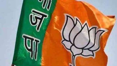 Photo of जानिए कौन से है वो महारथी, जो लगायेंगे भाजपा की नईया पार