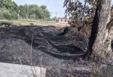 Photo of बेहटा गाँव में लगी भीषण आग… ग्रामीणो ने मिलजुलकर बुझाया