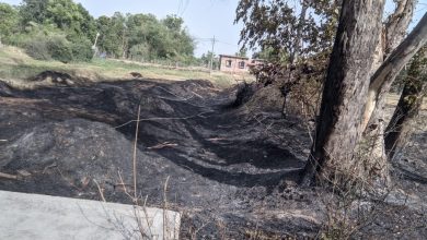 Photo of बेहटा गाँव में लगी भीषण आग… ग्रामीणो ने मिलजुलकर बुझाया