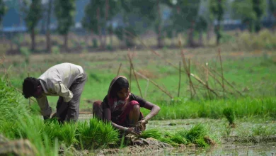 Photo of नही हो रही बरसात, पानी की किल्लत से किसान परेशान
