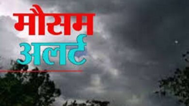 Photo of फसल नुकसान पर 72 घंटे में दर्ज कराएं शिकायत: किसानों से अपील