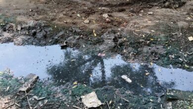 Photo of दलित बस्तियों में बजबजा रही नालियां, मच्छरों का प्रकोप बढ़ा