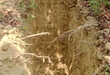 Photo of गौशालाओं के पास बने डिफ्फर गड्ढे, अब नहीं फैलेगी दुर्गंध