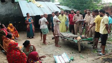 Photo of पीपल की डाल गिरने से बुजुर्ग महिला की दर्दनाक मौत