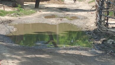 Photo of जरौटा-उत्तर गांव मार्ग पर भरे गंदे पानी से राहगीर परेशान, सुदृढ़ीकरण के बावजूद हालत बदतर