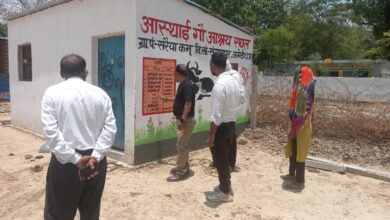 Photo of सरैया कनू गौशाला का निरीक्षण, हरे चारे व साफ-सफाई पर दिए गए निर्देश