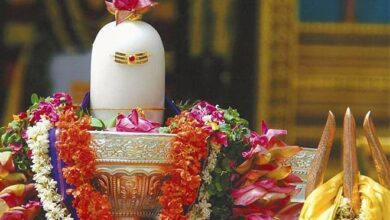 Photo of शिवलिंग विज्ञान,अध्यात्म व प्रकृति का अद्भुत समन्वय-शांडिल्य दुर्गेश 