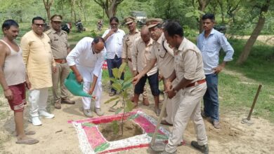 Photo of भविष्य को हरा-भरा बनाने का संकल्प: भवसिंहपुर में 12 हजार पौधों का रोपण 