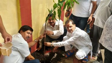 Photo of एक पेड़ मां के नाम” अभियान के तहत जिला सहकारी बैंक में हुआ वृक्षारोपण