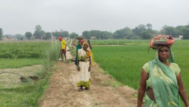 Photo of गांव लहरिया की खबर का असर: सरैया कनू के रास्ते की हुई सफाई, ग्रामीणों ने जताया आभार