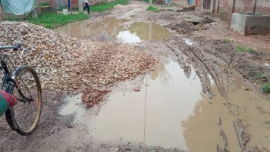 Photo of जनसमस्या : जरौटा गांव की दलदल बनी सड़क से परेशान ग्रामीण, नाली निर्माण की कर रहे मांग