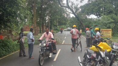 Photo of झुका शीशम का पेड़ बना बाधा, वन विभाग ने कराया रास्ता साफ